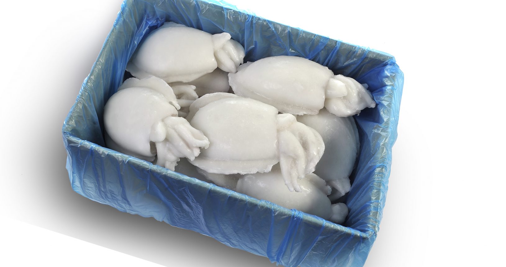 CHOCO LIMPIO 500/1000 CONCISA 7KG**