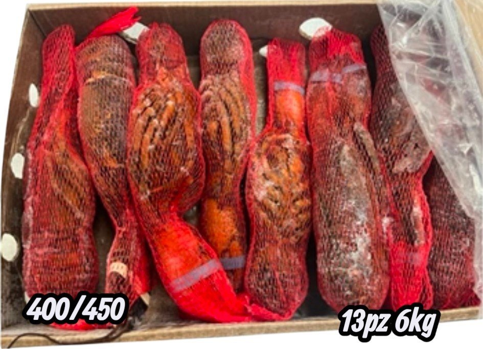 BOGAVANTE ENTERO CRUDO 400/450 6KG 13P