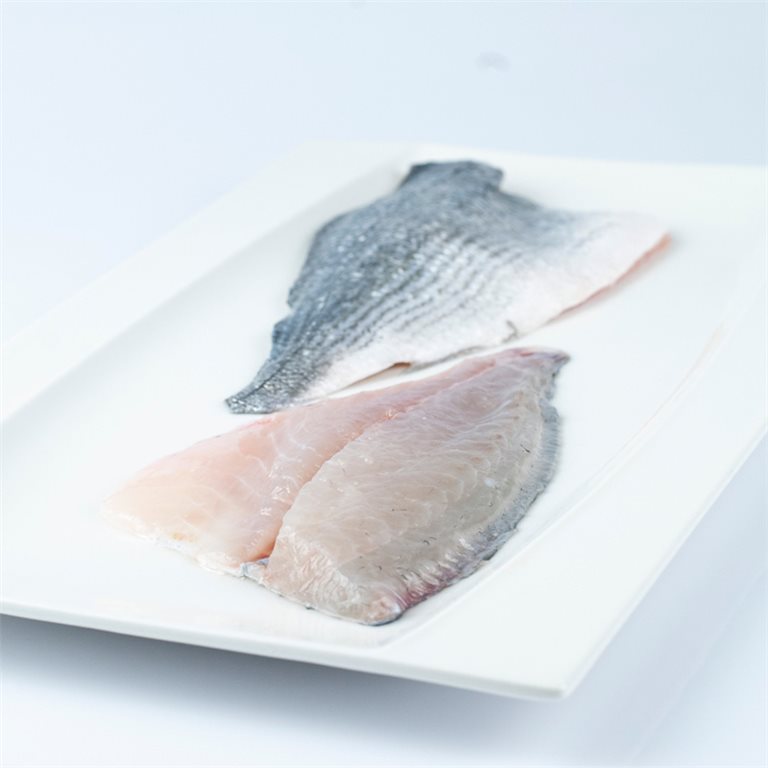 FTE. DORADA 80/120 CASTELLAR 5KG