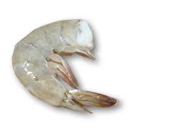 COLA LANGOSTINO 31/35 KG *