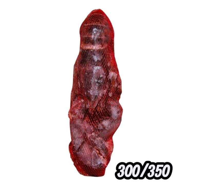 BOGAVANTE ENT CRUDO 300/350 CANADA IQF 5KG