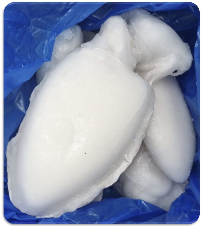 SEPIA LIMPIA OCEAN 800/1200 6KG