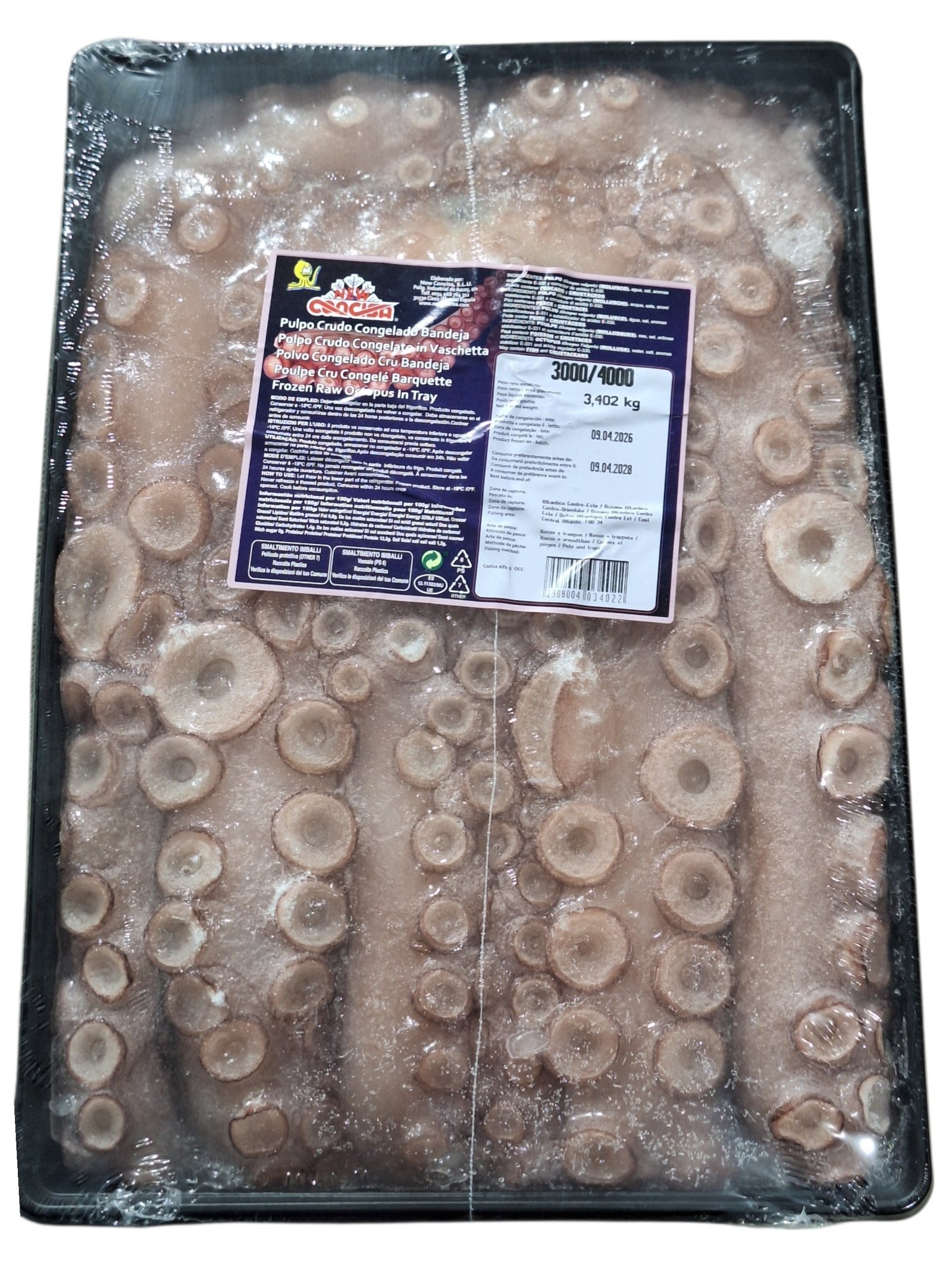 PULPO BANDEJA 3000/4000 CONCISA
