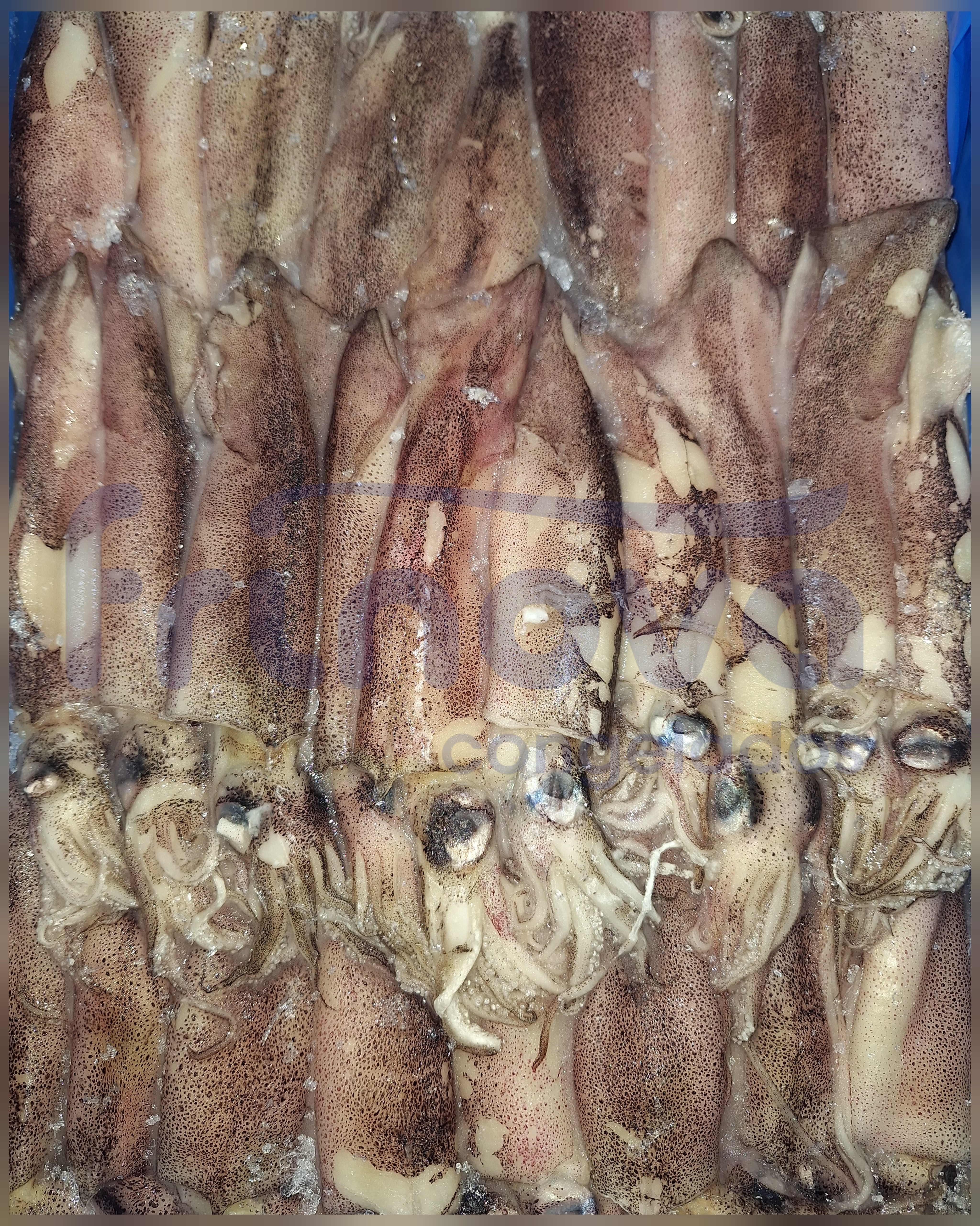 CHIPIRON PATAG. 4L C/BLANCA 12/14 5KG APRX