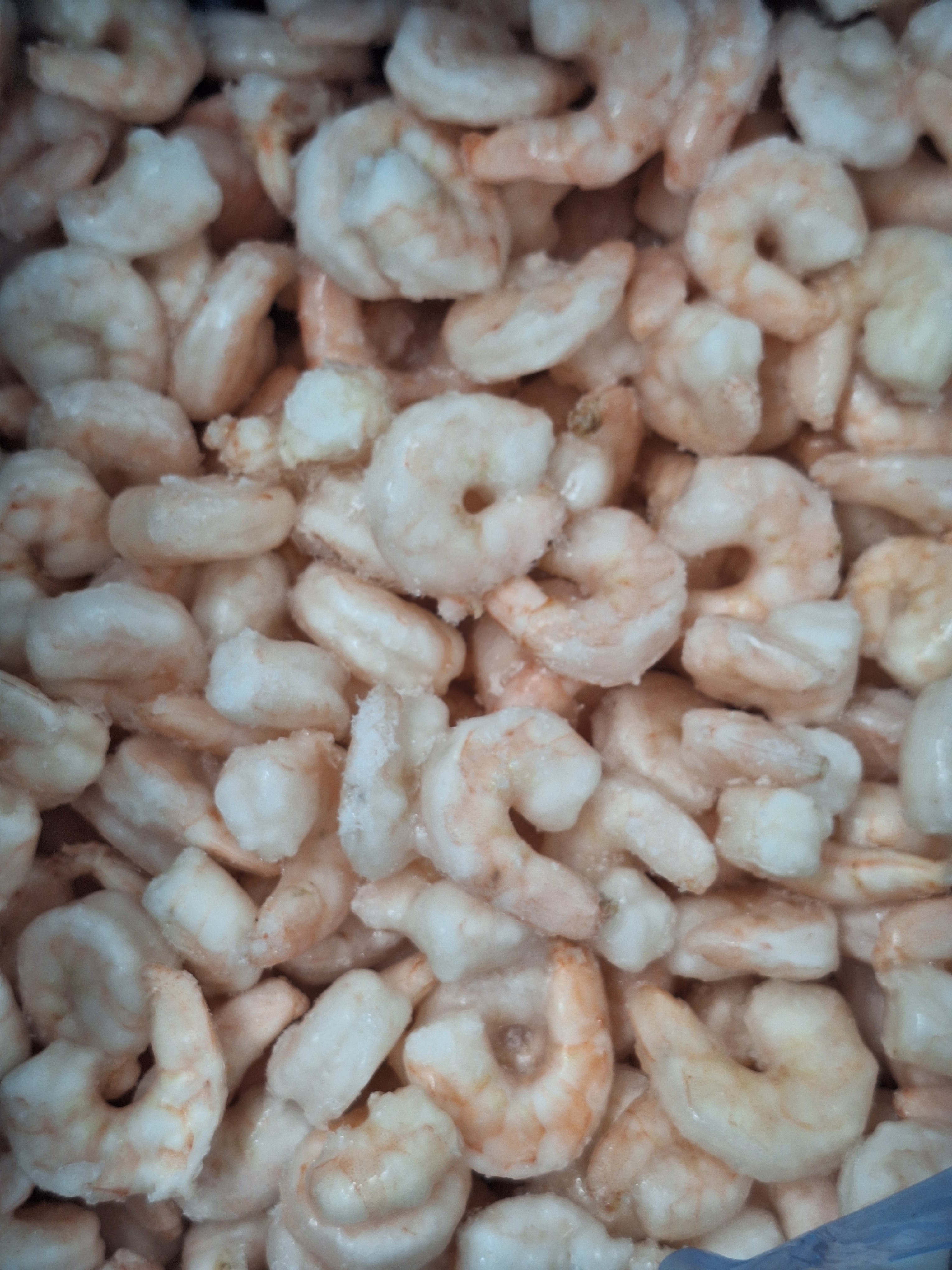 LANGOSTINO PELADO COCIDO DELFIN 5KG 20%