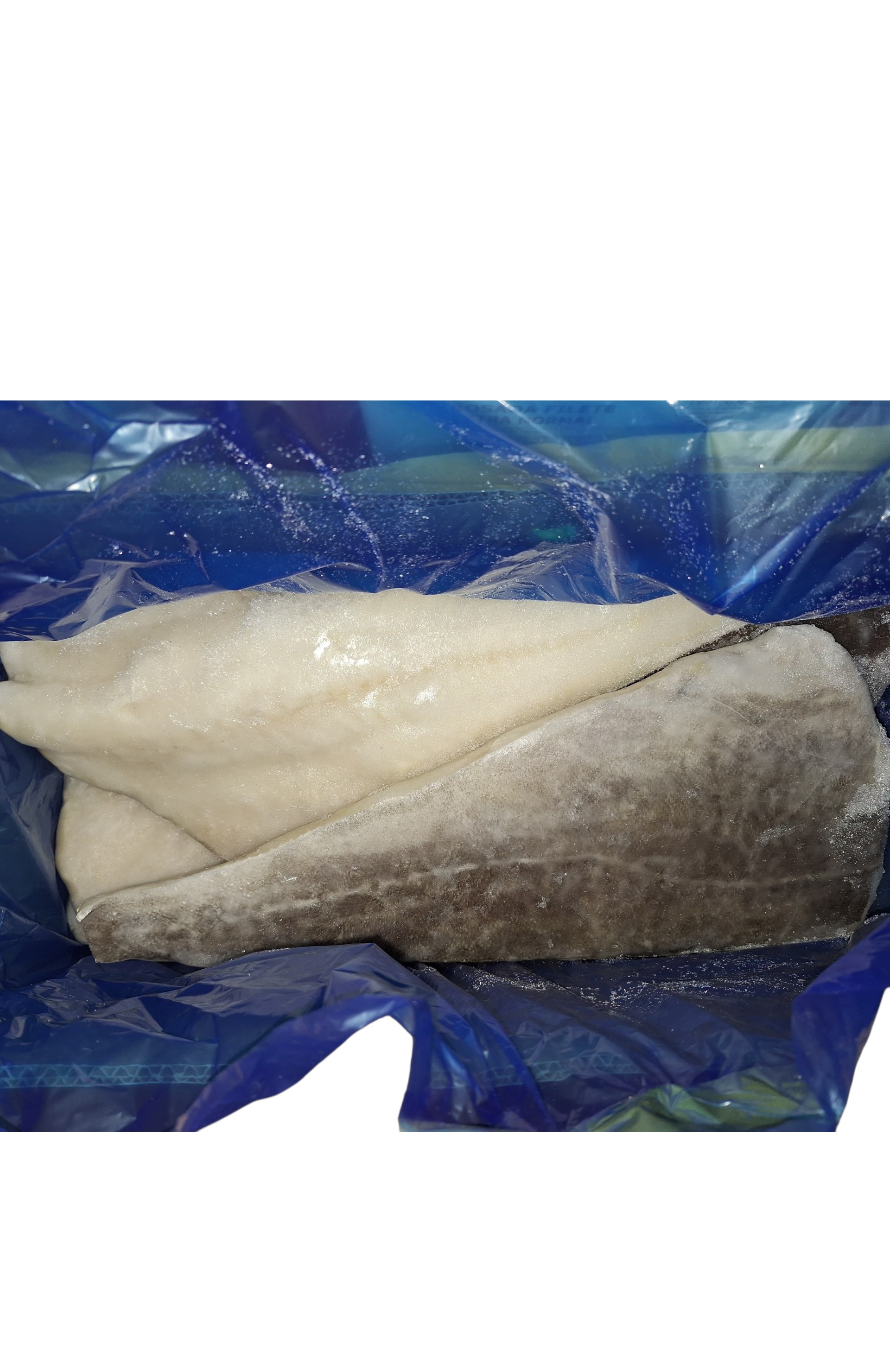 FTE. BACALAO +1000 MB INLET 11KG