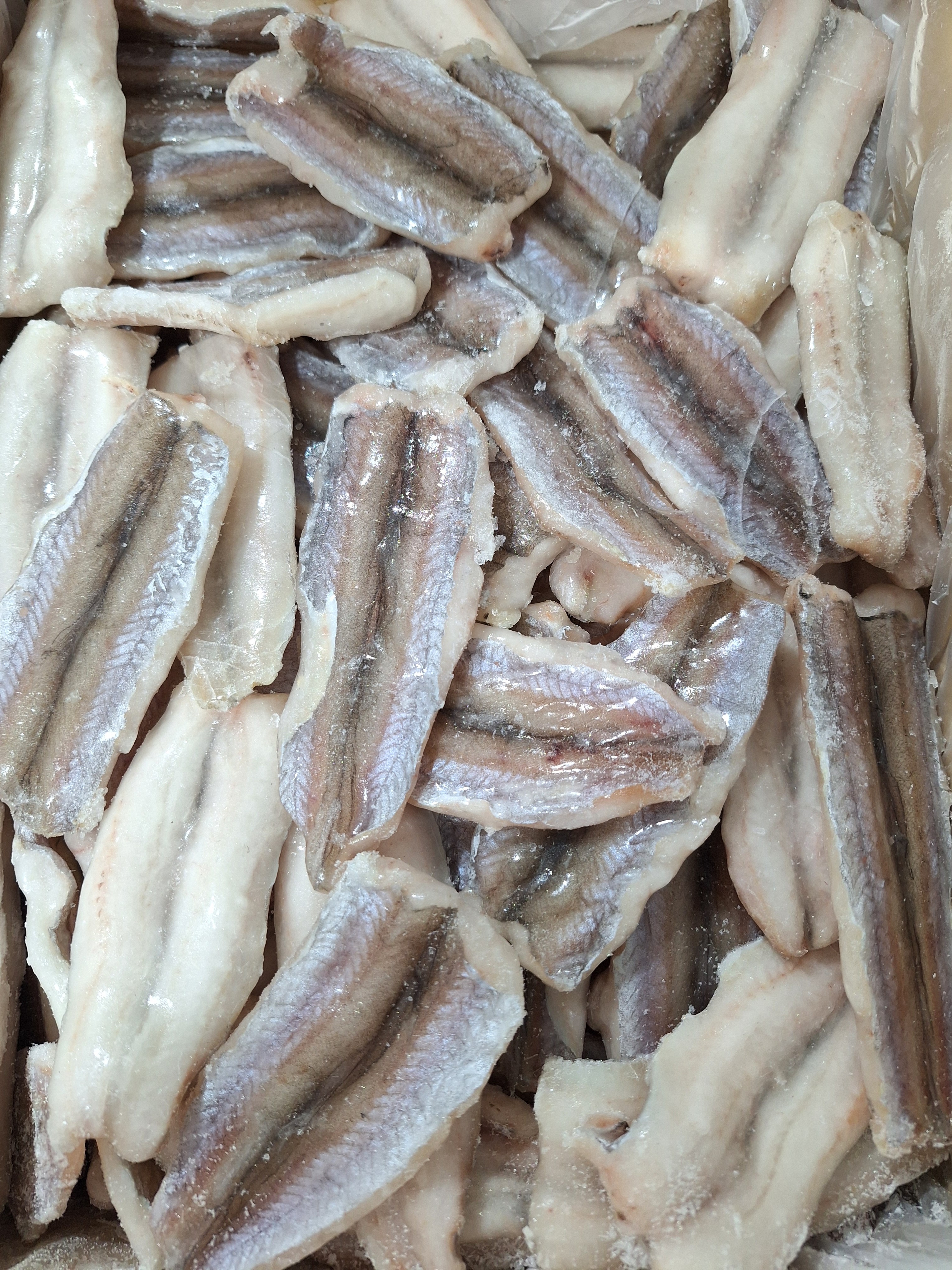 FTE. LIRIO BACALADILLA "FRIOANTARTI" 40/100 5X1