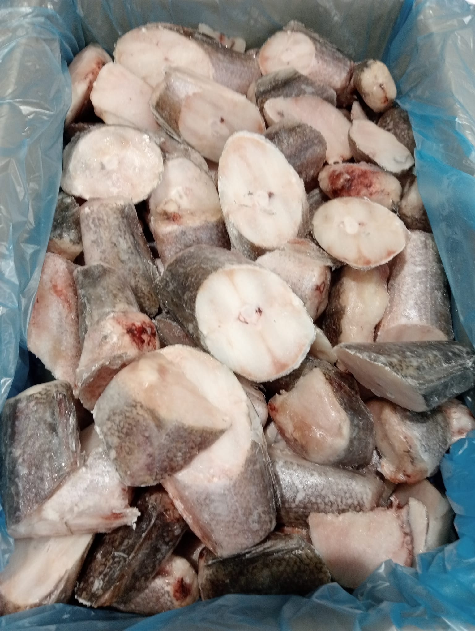 COLA MERLUZA ENTERA "SILOMAR" 7KG