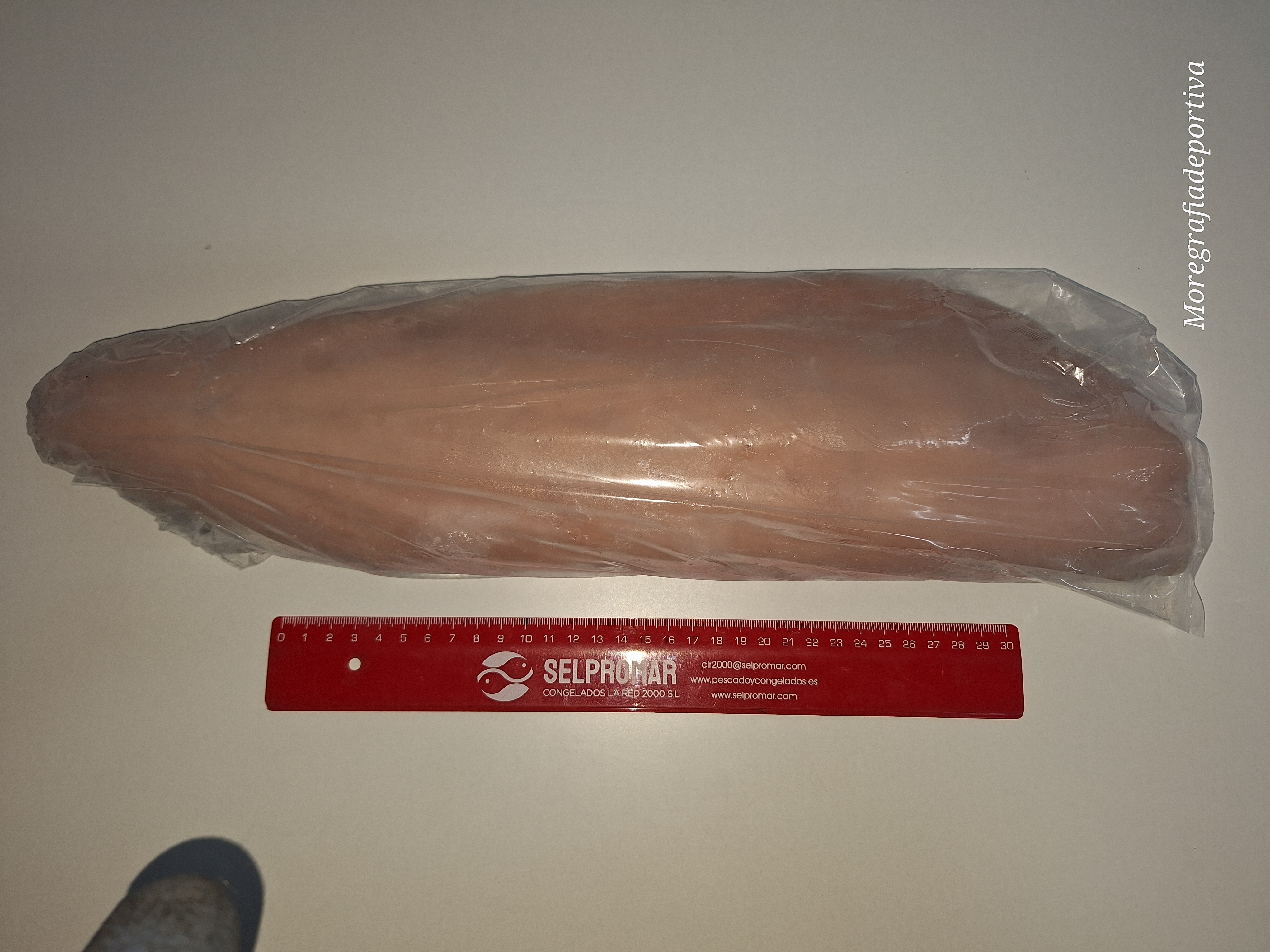 FLT SALMON C/P +800 KETA 10KG