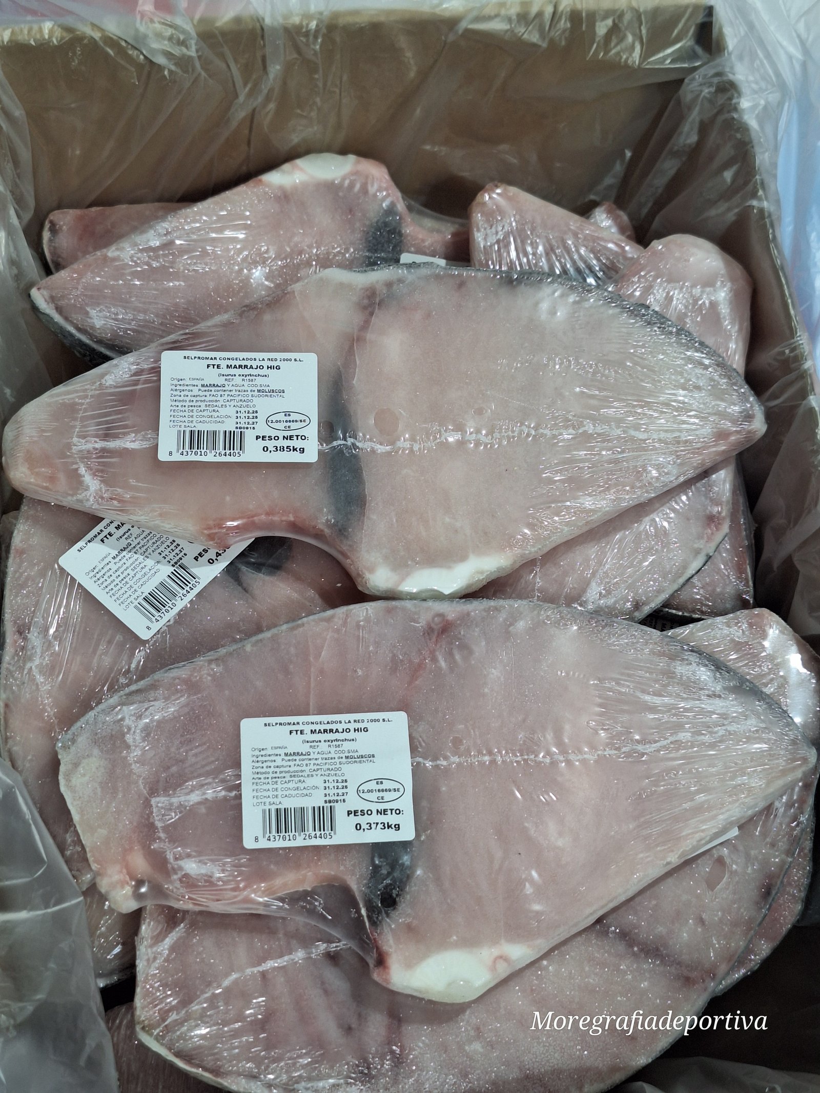 FILETE MARRAJO HIG 6KG