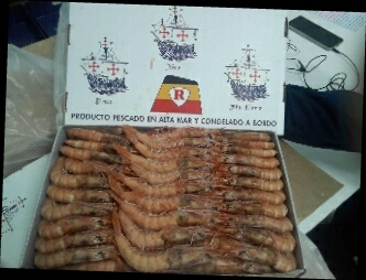 GAMBA R CRUDA 100/110 "R3" 12X1APROX