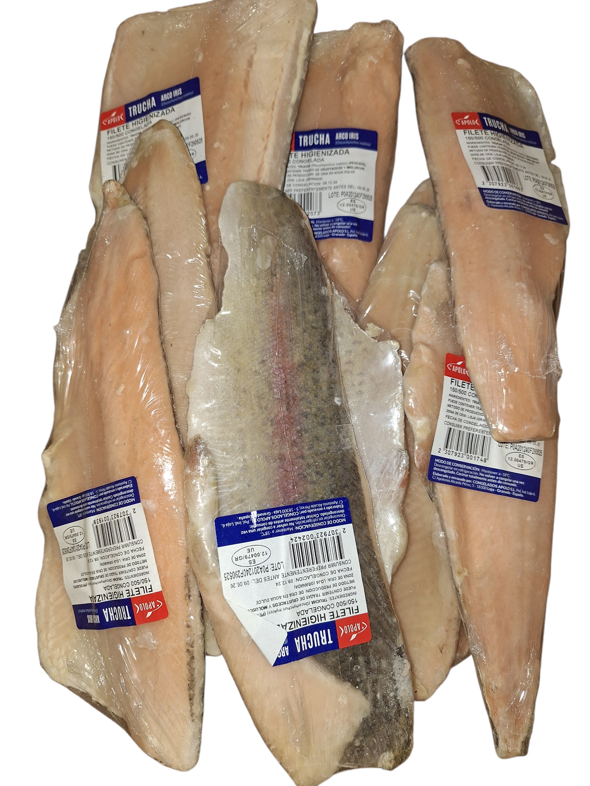 FILETE TRUCHA 150/500 HIG 5KG