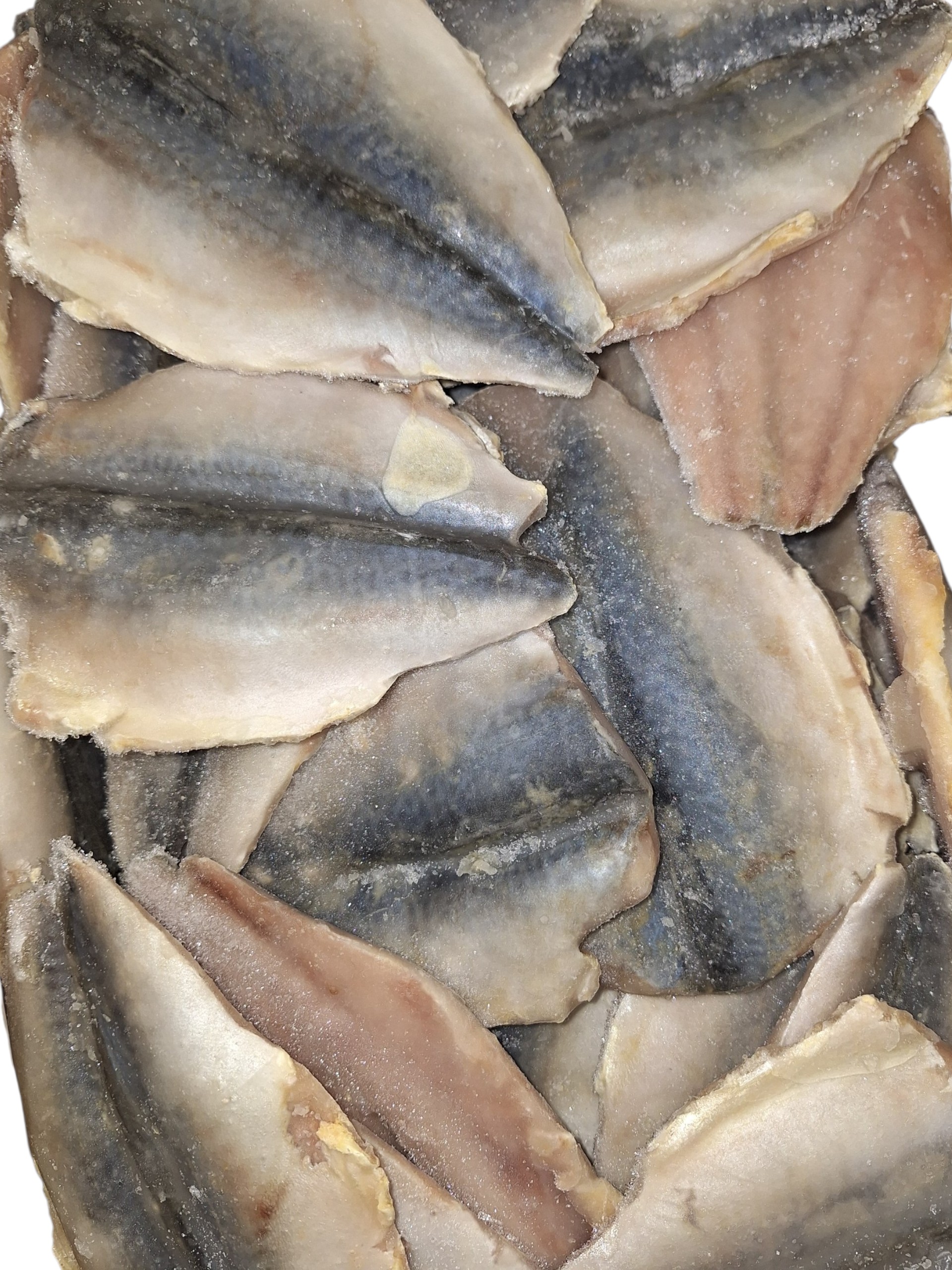 FTE. CABALLA 90/130 "ALLPELAGIC" 20% 5KG