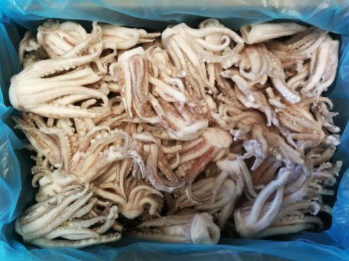 REJOS DE CALAMAR "ALFRIO"  5KG