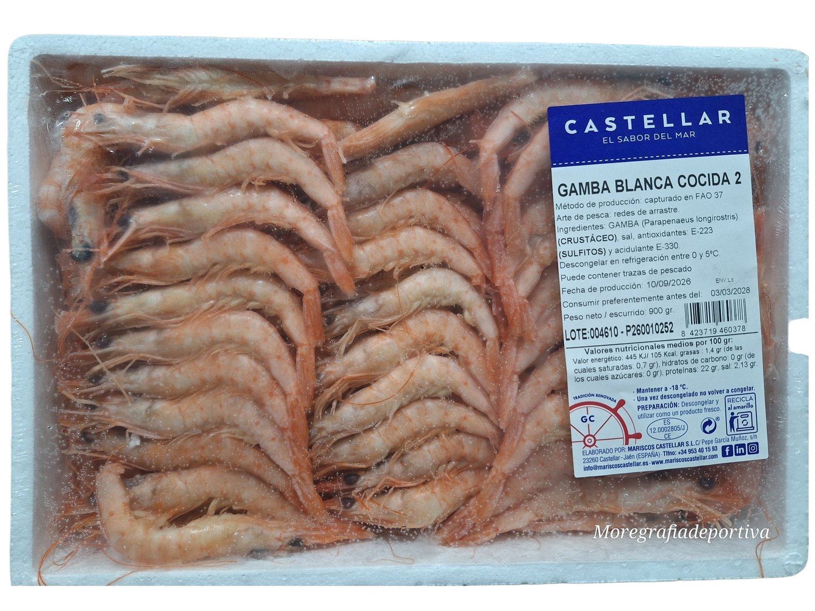 GAMBA BLANCA COCI CAST. N2 10X1