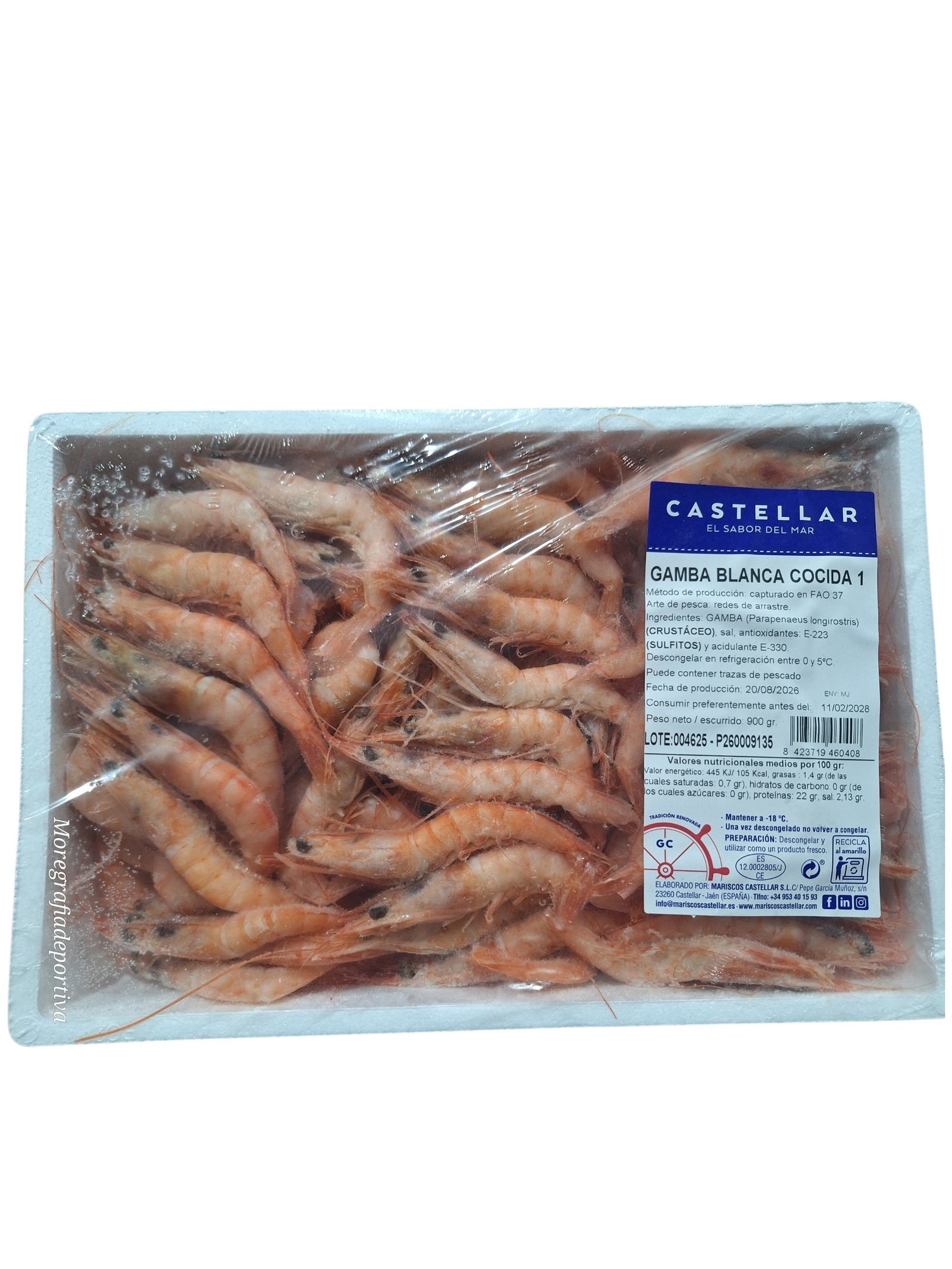GAMBA BLANCA COCI CASTE. N1 10X1