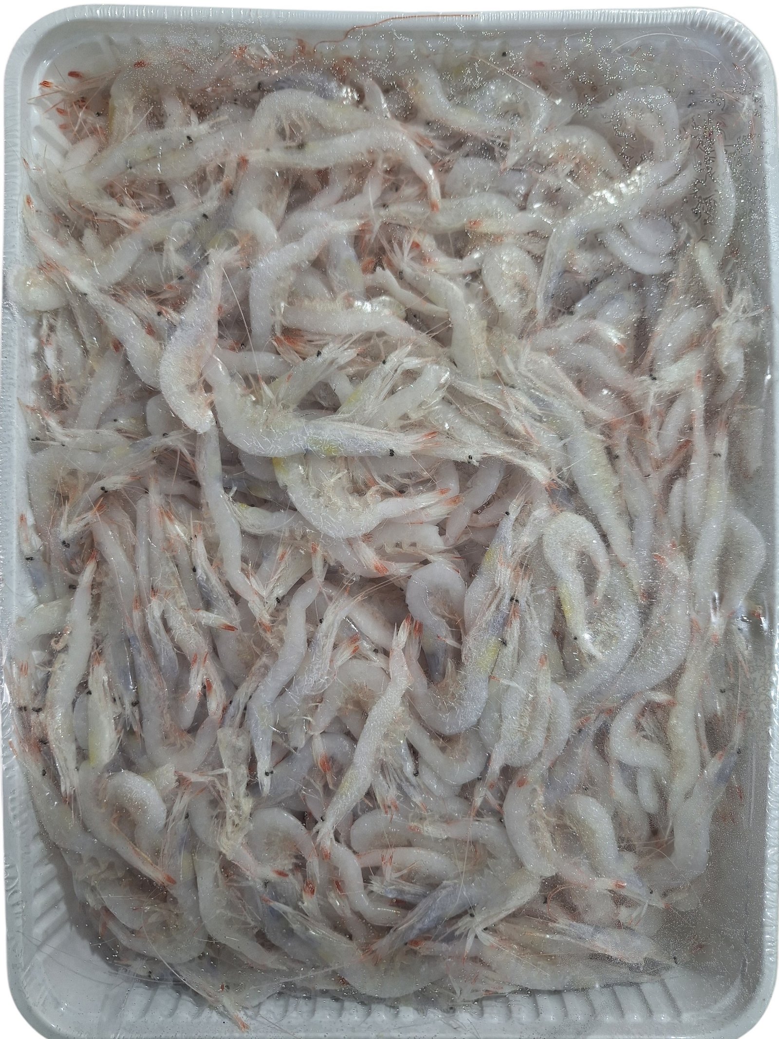 GAMBA CRISTAL ITALIANA 12X1