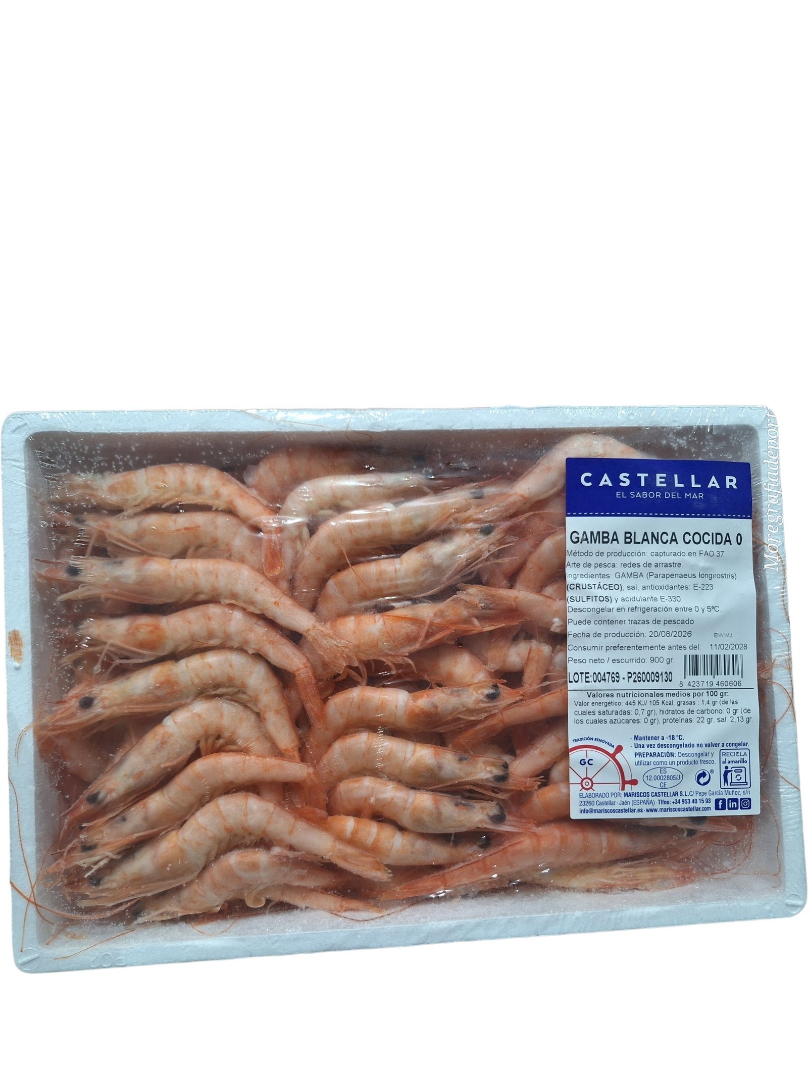 GAMBA BLANCA COCI CASTE. N 0 10X1