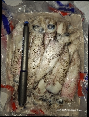 CALAMAR PATAG. "PEREIRA" 4 12X1