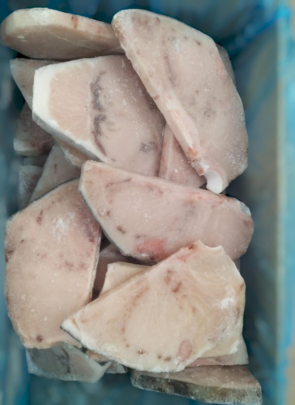 RODAJA PEZ ESPADA "SARAYMAR" IQF 6KG ELABORAR