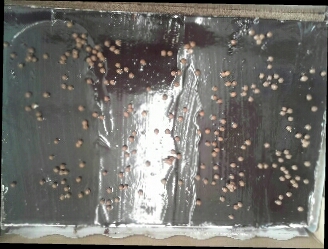 PLANCHA 3 CHOCOLATES "ARTES" 1500GR