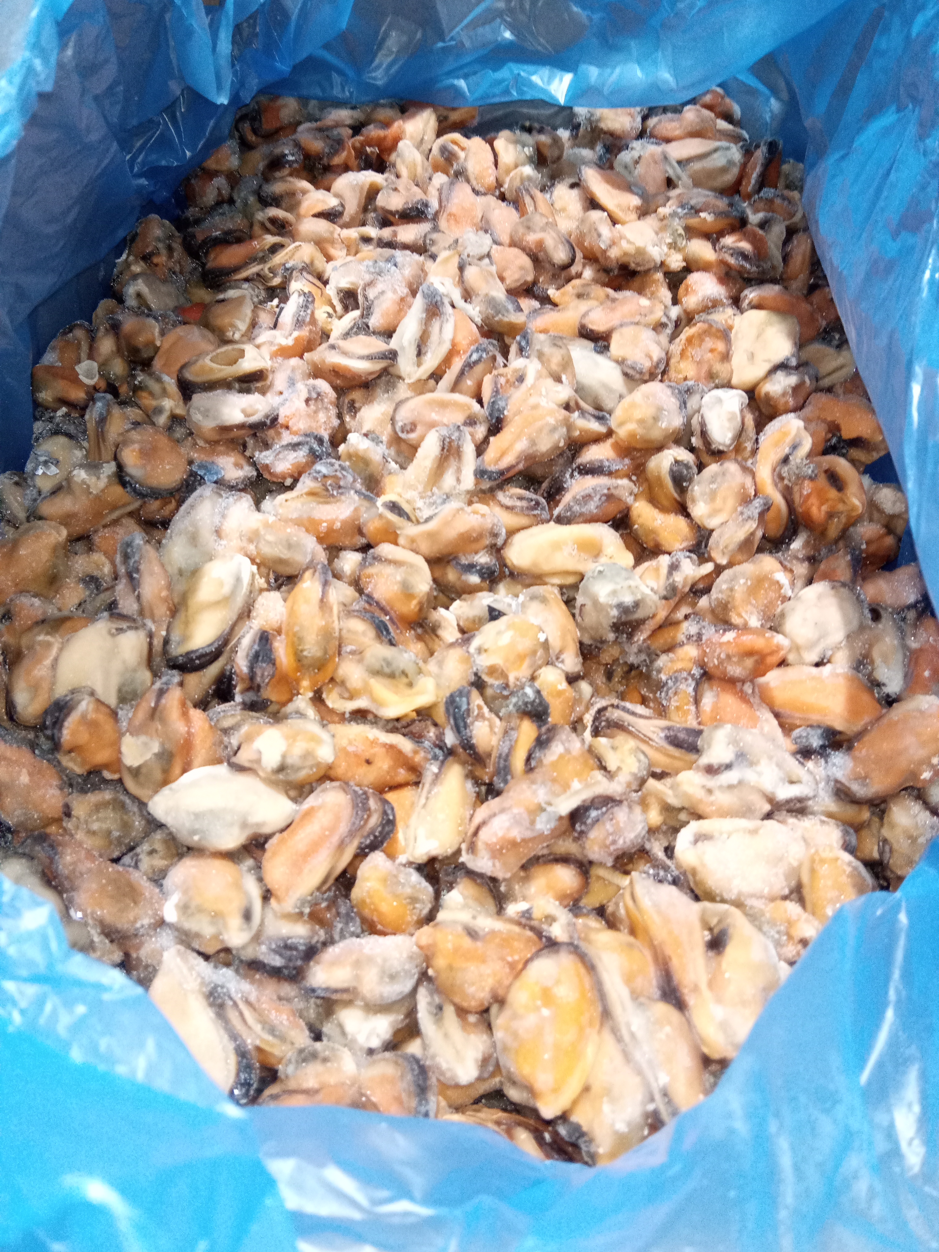 MEJILLON CARNE 100/200 IQF 12 KG