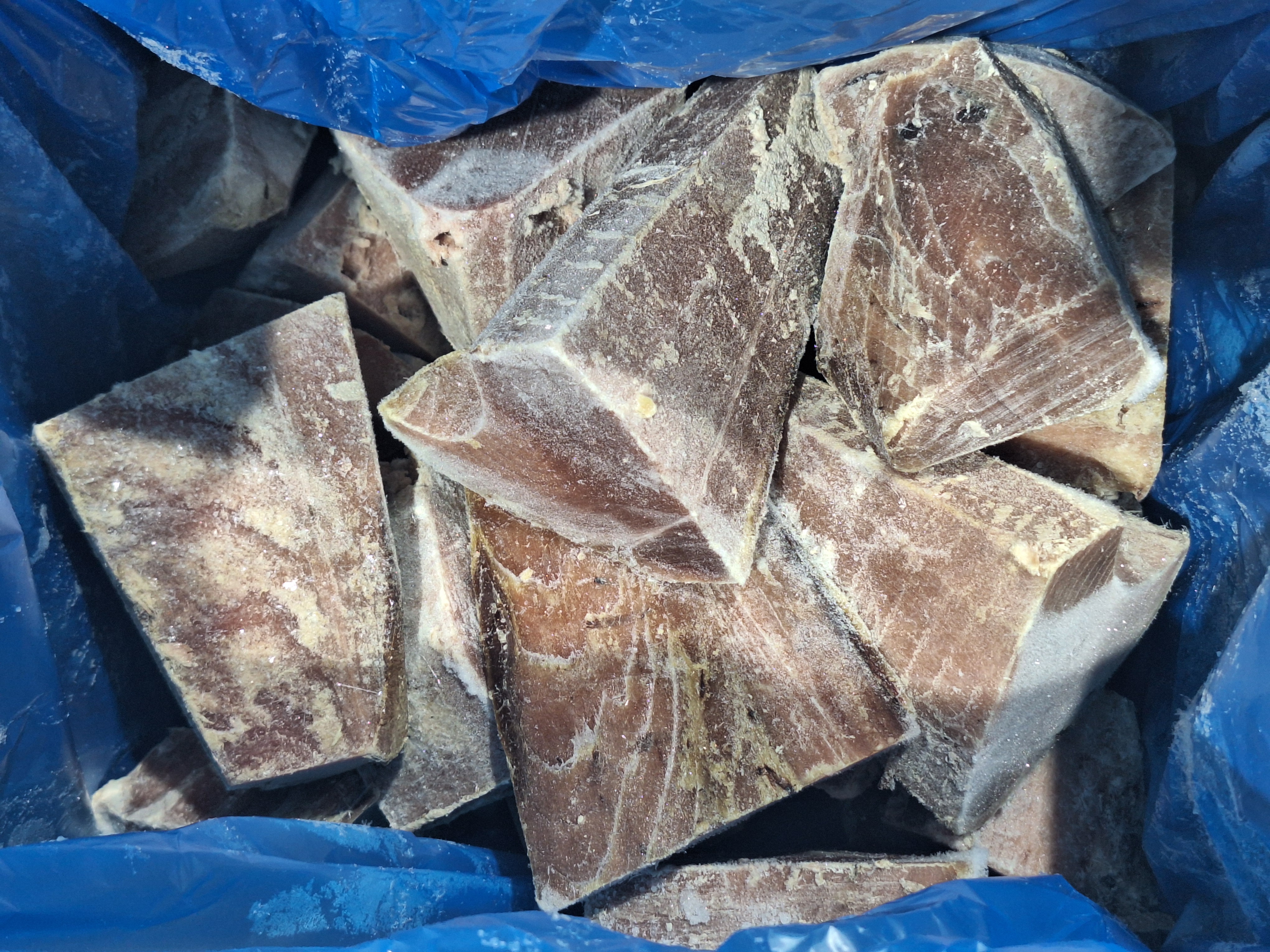 TACO ATUN "PETACA" 7KG