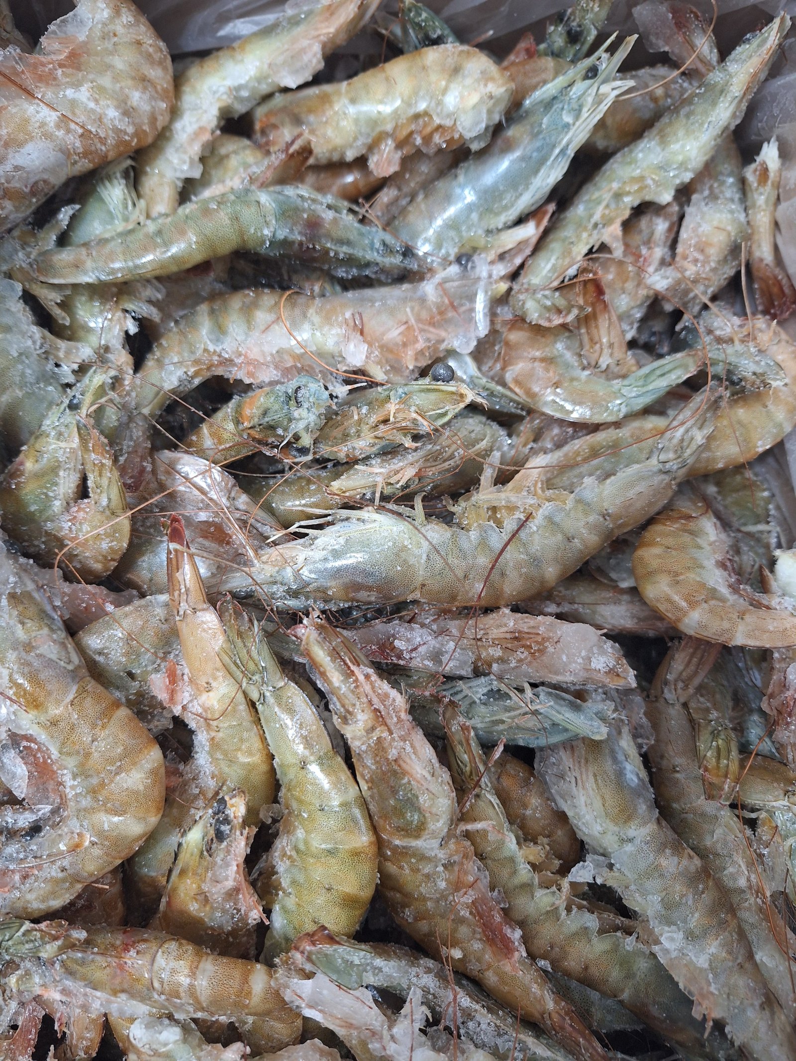 LANGOSTINO CRUDO PNG 40/50 4KG GRANEL