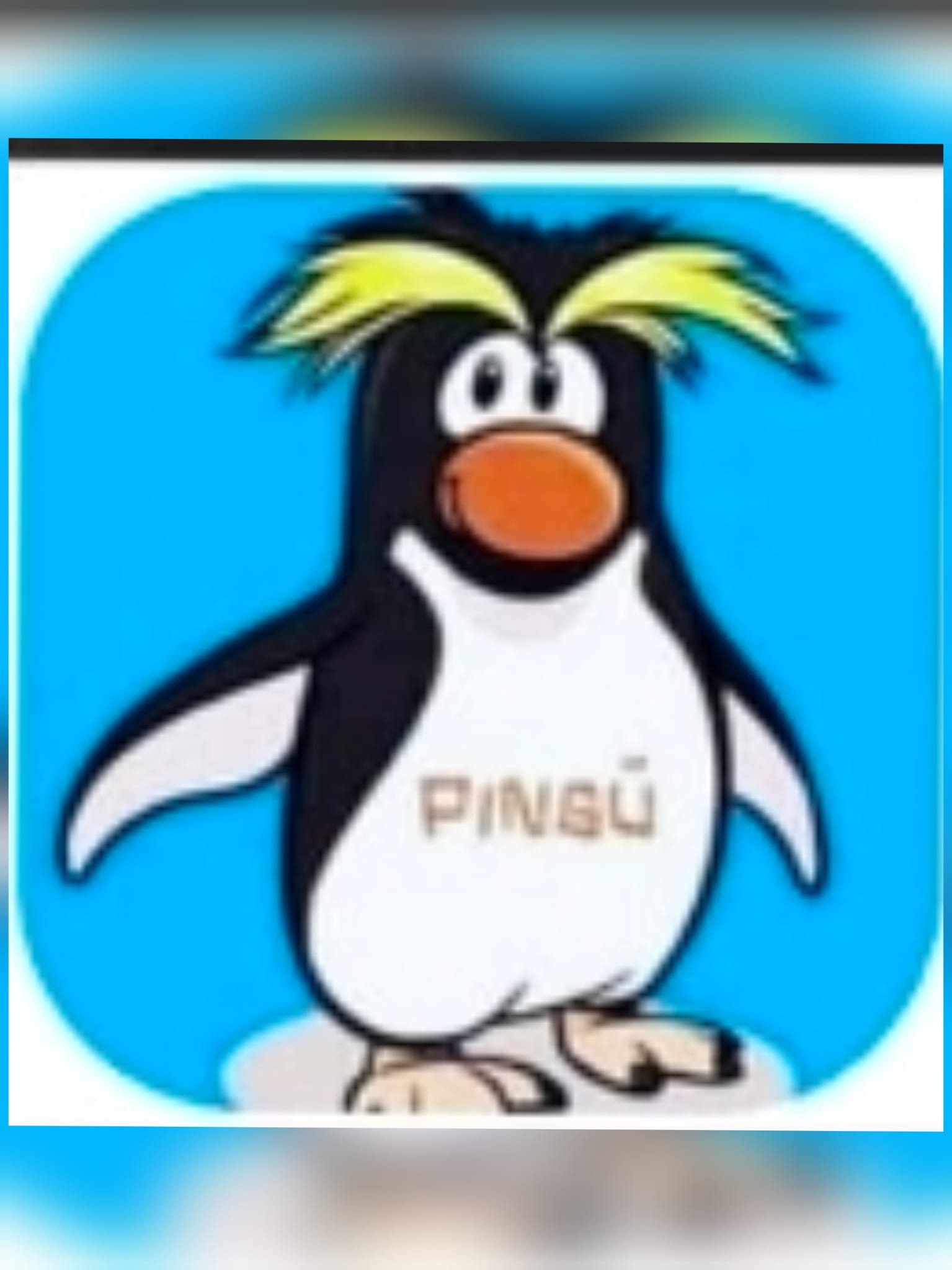 PINGÜ
